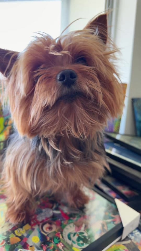 Post 2 by gabymateu on TikTok (video)