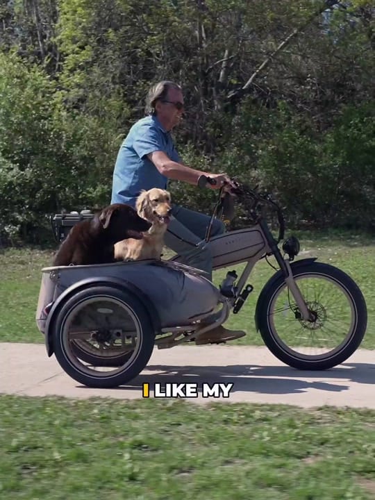 Post 10 by MOD BIKES on TikTok (video)