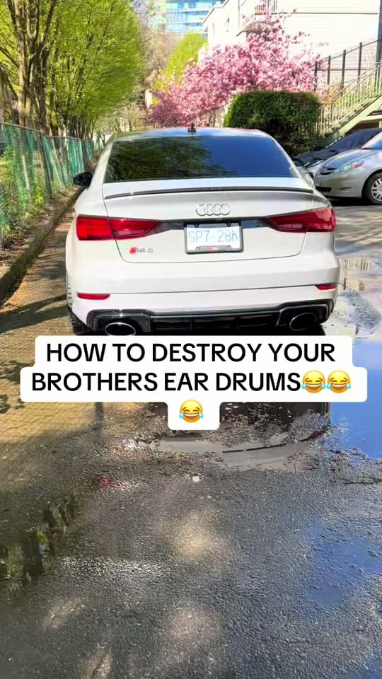 Post 6 by Rs3bains on TikTok (video)