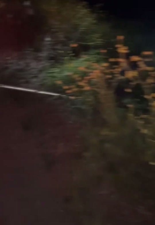 Post 8 by Los Angeles Racing on TikTok (video)