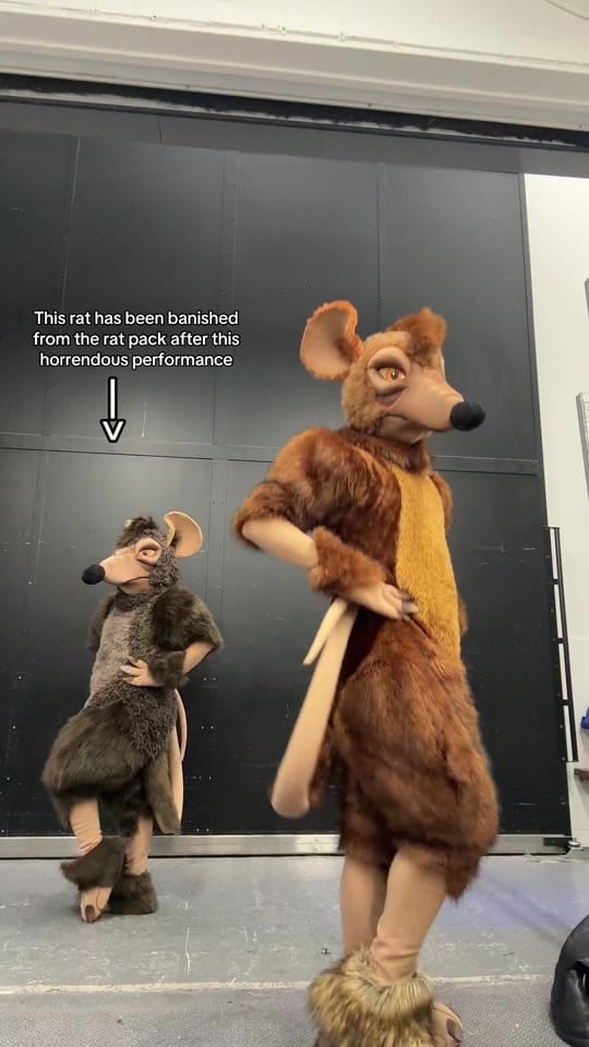 Post 3 by troy.pepper on TikTok (video)