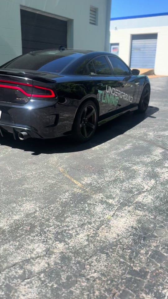 Post 5 by 392steveo on TikTok (video)