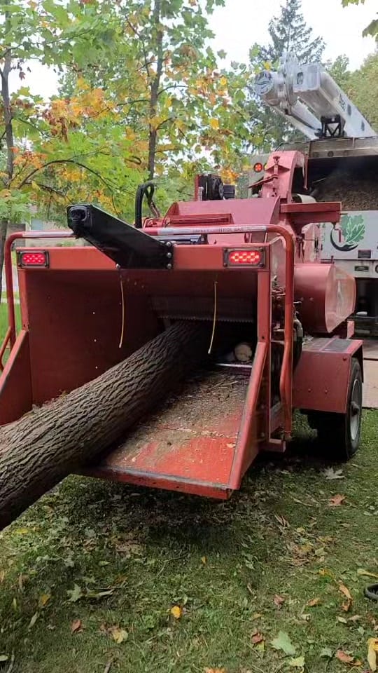 Post 3 by McFarlan Tree Care on TikTok (video)