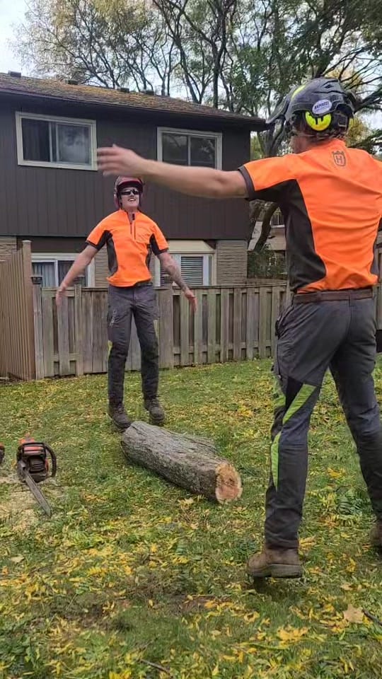 Post 5 by McFarlan Tree Care on TikTok (video)