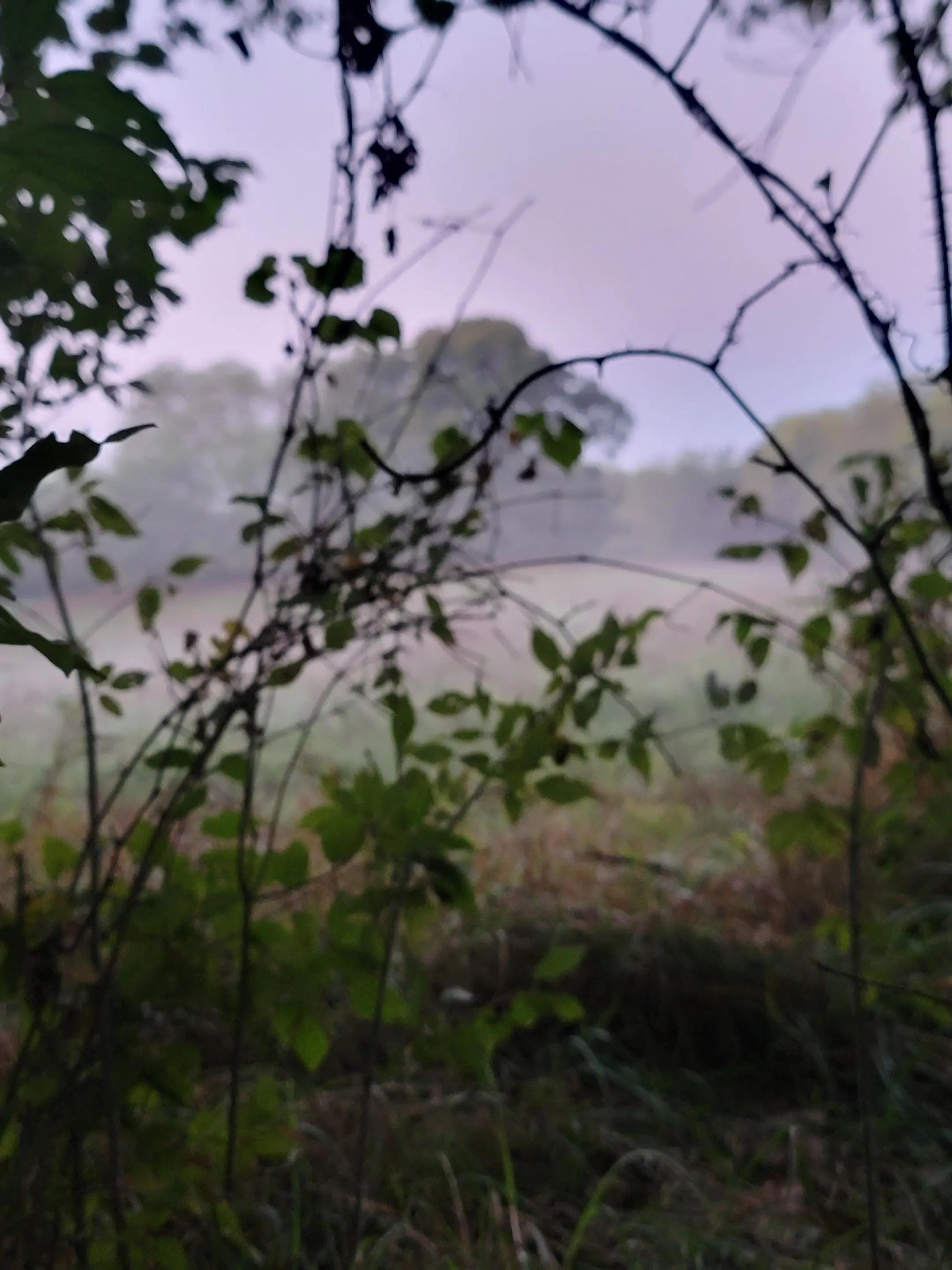 Post 8 by HeavensHeathen816 on TikTok (video)