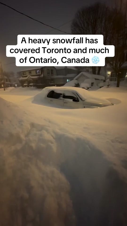 Post 6 by Canada Life on TikTok (video)