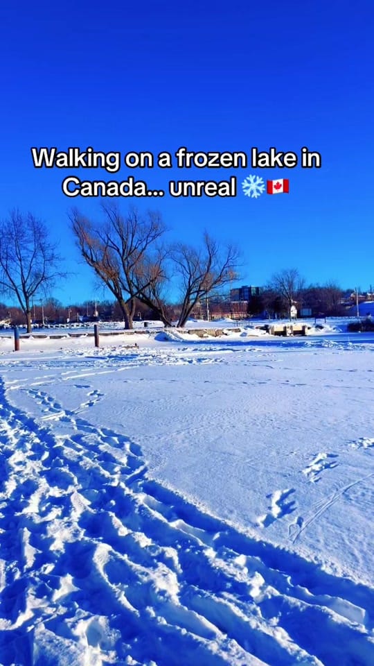 Post 4 by Canada Life on TikTok (video)
