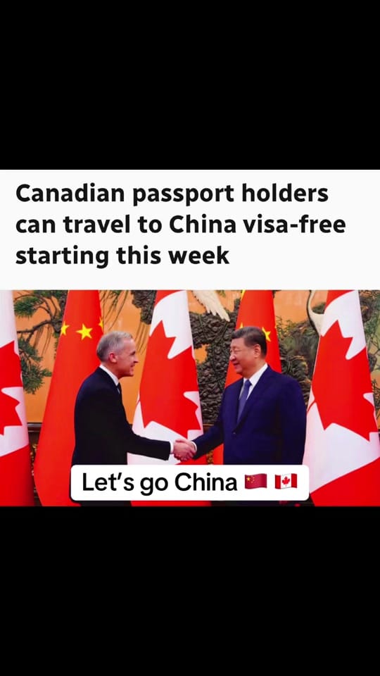 Post 1 by Canada Life on TikTok (video)