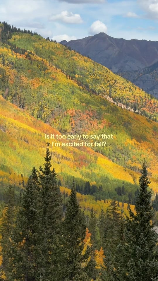 Post 3 by Chloe | Work From Denver on TikTok (video)
