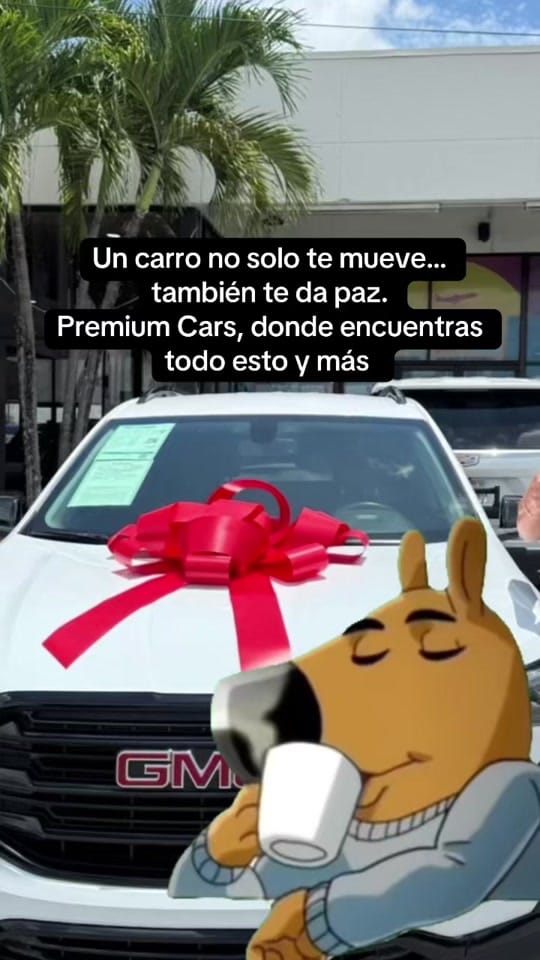 Post 10 by Premium Cars 🚘 on TikTok (video)