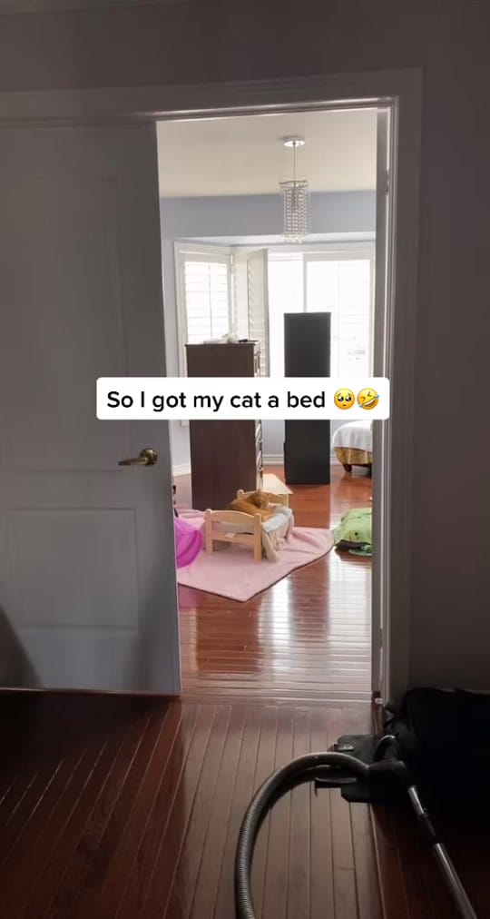 Post 10 by Daniela on TikTok (video)