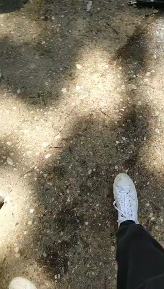 Post 7 by MiniTruckDaddy on TikTok (video)