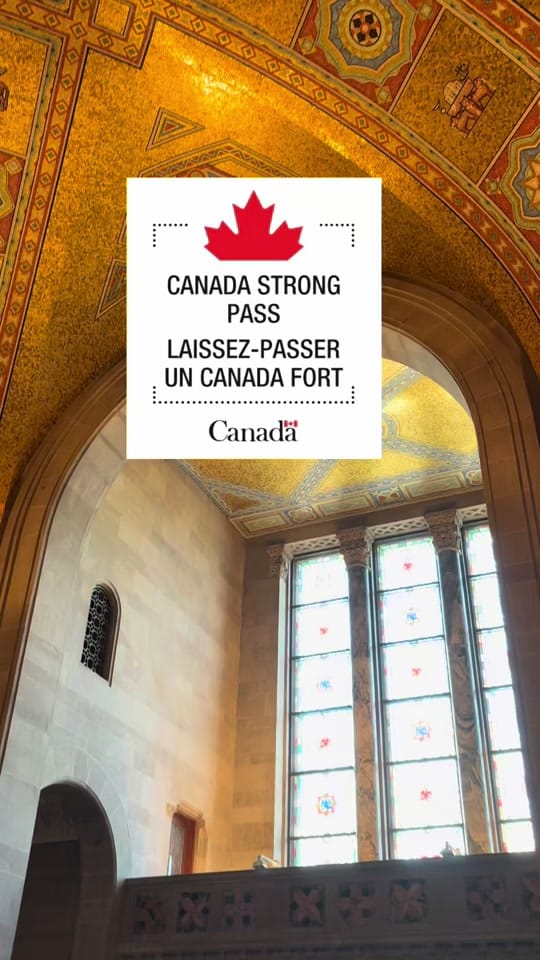 Post 3 by ROMToronto on TikTok (video)