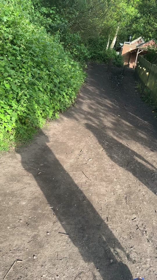 Post 1 by Sajal Chaudhary on TikTok (video)