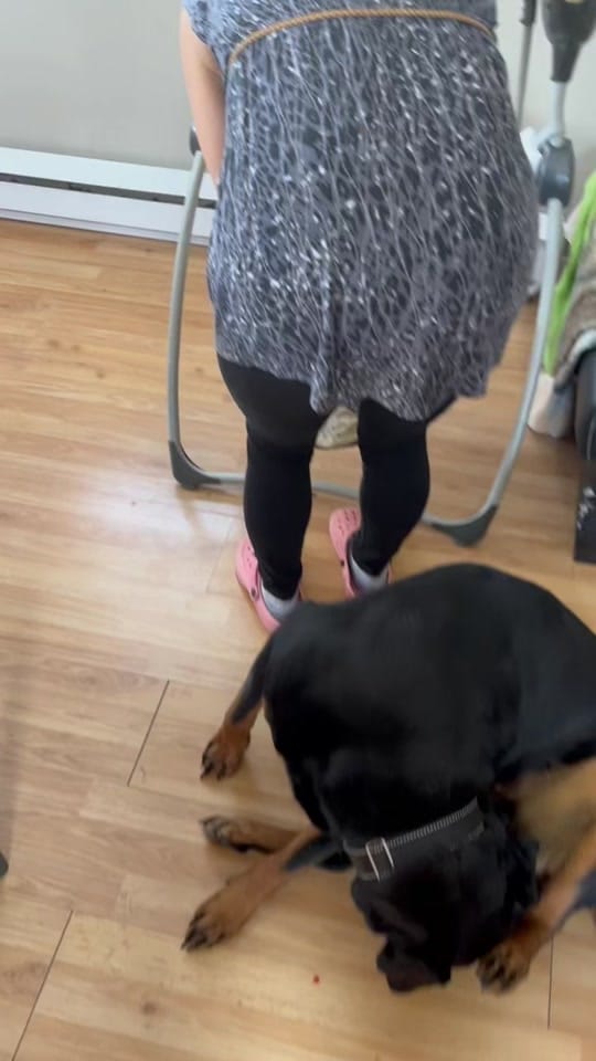 Post 10 by Luc picard on TikTok (video)