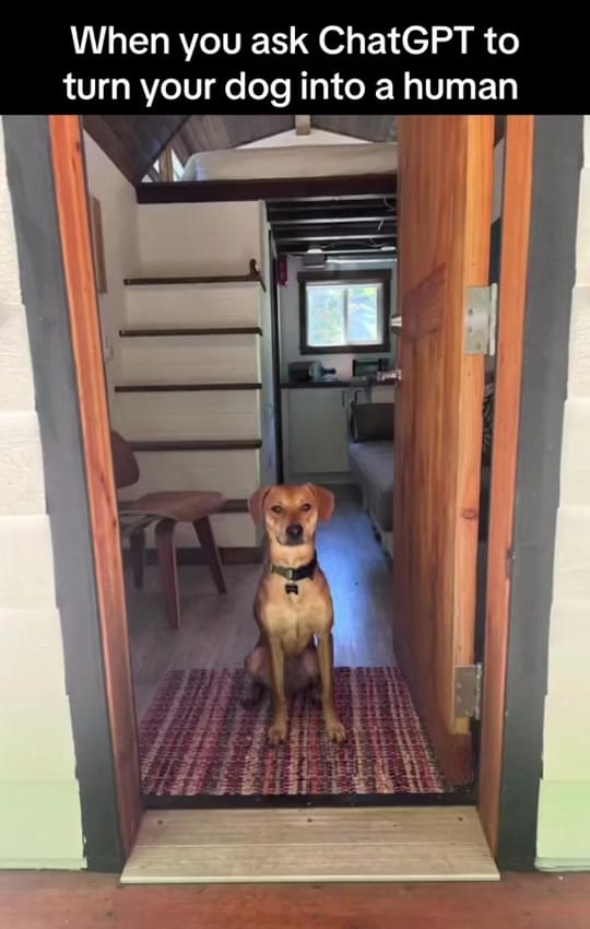Post 4 by Josh Bowman on TikTok (video)