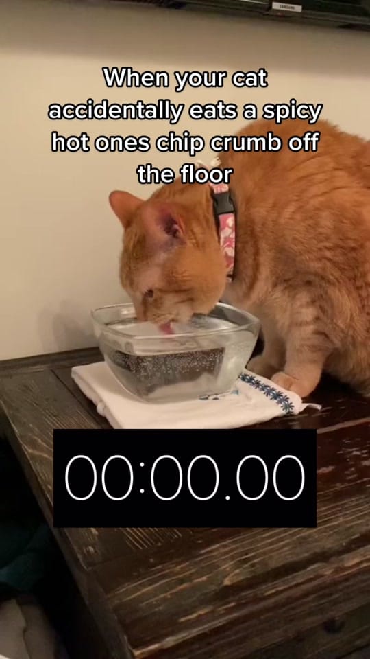 Post 8 by Josh Bowman on TikTok (video)
