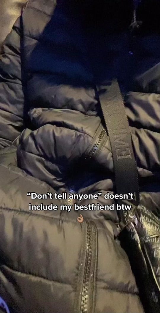 Post 1 by SLF on TikTok (video)