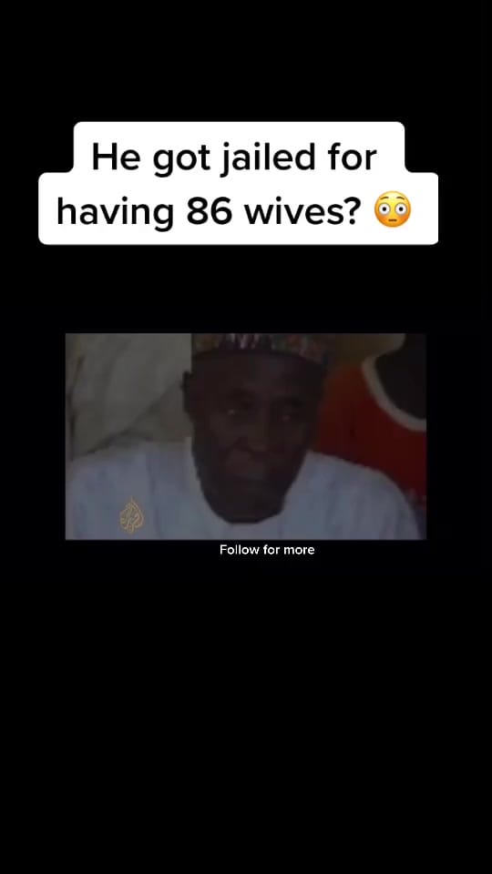 Post 3 by SLF on TikTok (video)