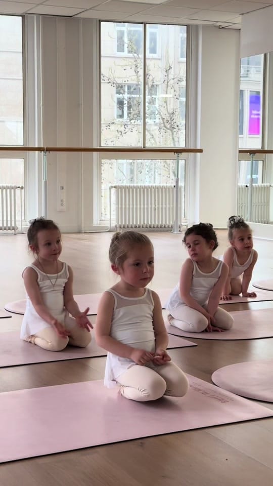 Post 1 by balletworkout on TikTok (video)