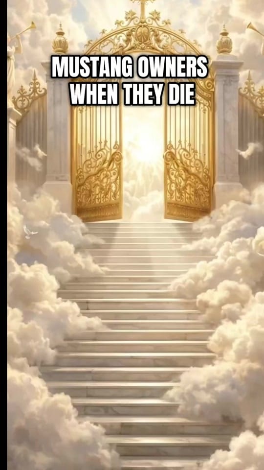 Post 1 by ABRAHAM on TikTok (video)