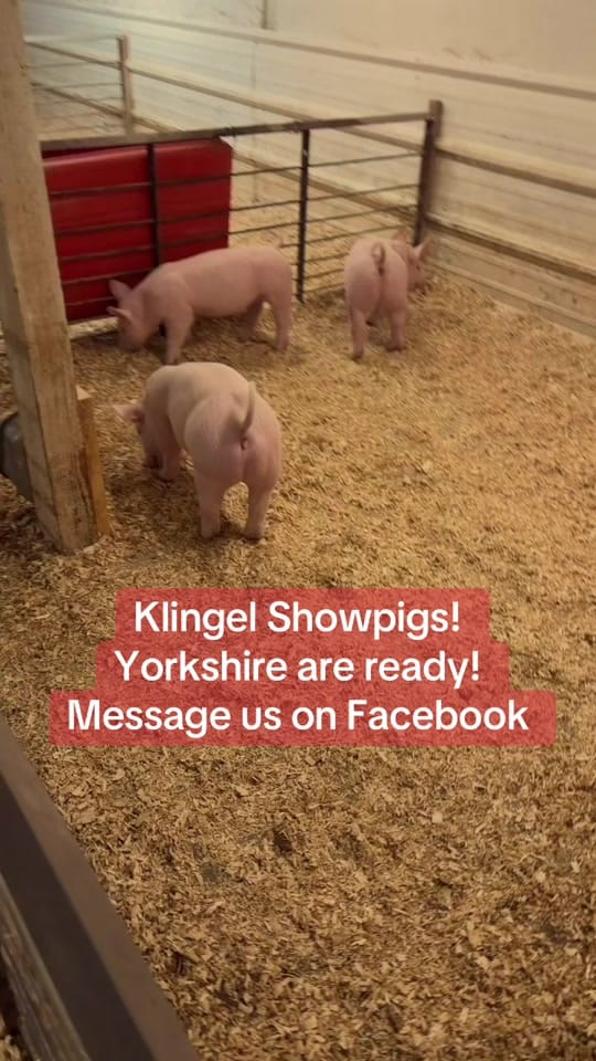 Post 1 by Carson klingel on TikTok (video)