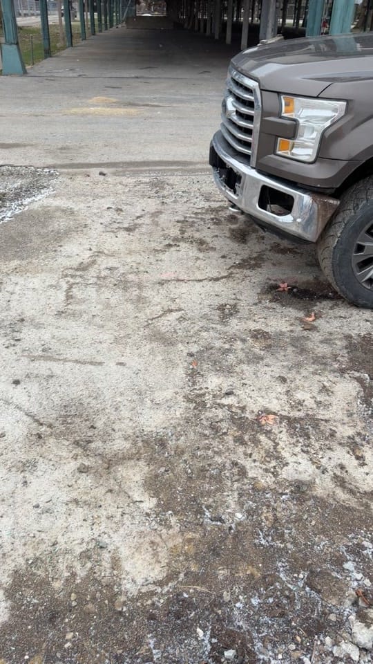 Post 6 by Carson klingel on TikTok (video)