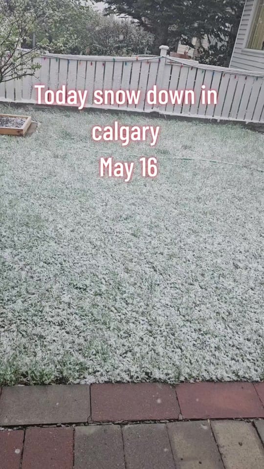 Post 4 by Dr. H.S. BRAR 🇨🇦🇨🇦 on TikTok (video)
