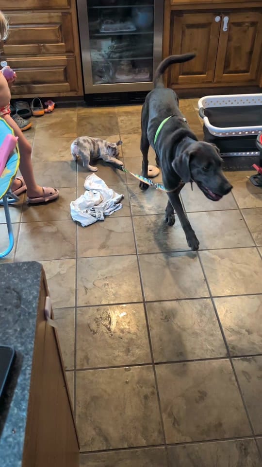 Post 4 by talburt2121 on TikTok (video)