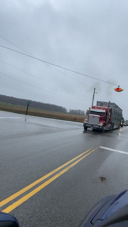 Post 8 by smeltzer589 on TikTok (video)