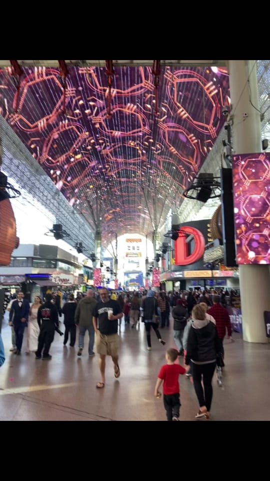 Post 4 by smeltzer589 on TikTok (video)