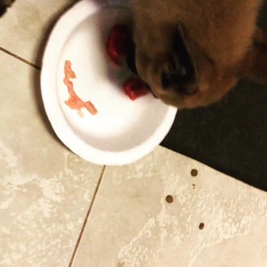 Post 3 by IV8888 on TikTok (video)