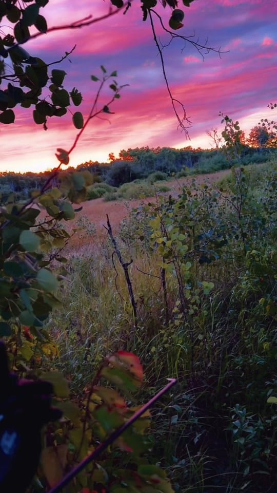 Post 5 by Keevin Erickson on TikTok (video)