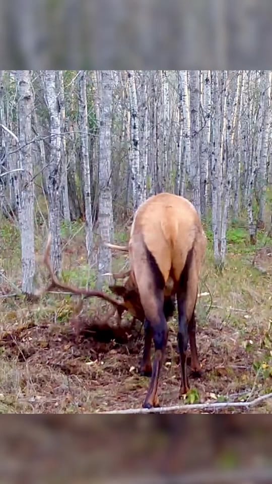 Post 7 by Keevin Erickson on TikTok (video)