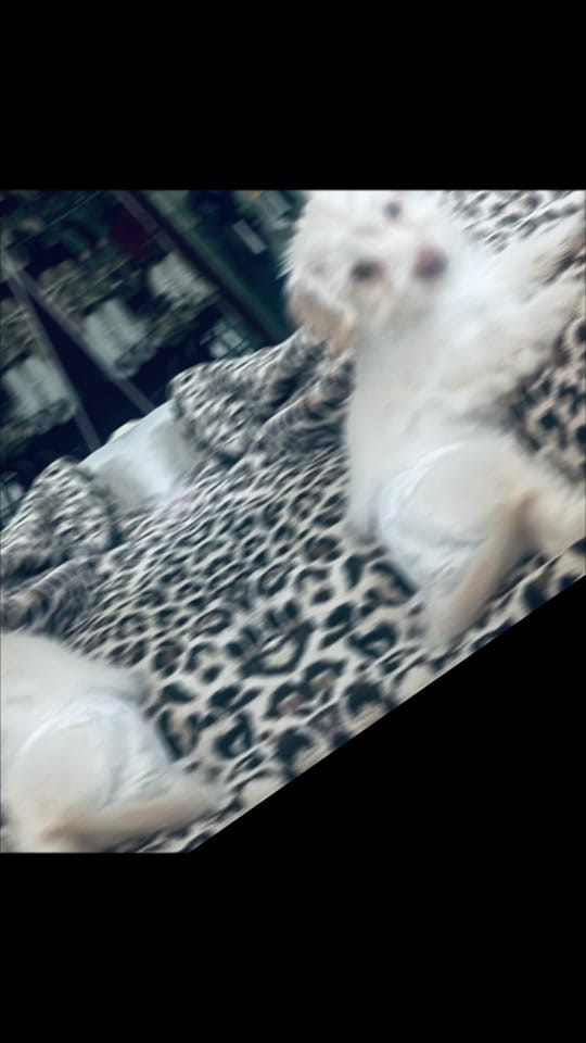 Post 9 by TravelingJayUSA1 on TikTok (video)