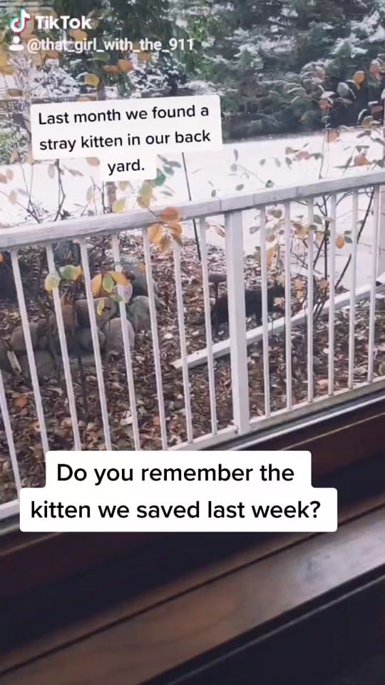 Post 10 by Rebekah Martinez on TikTok (video)