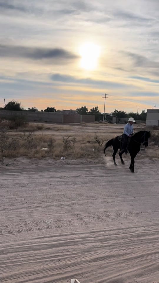 Post 10 by chapo.lsx on TikTok (video)
