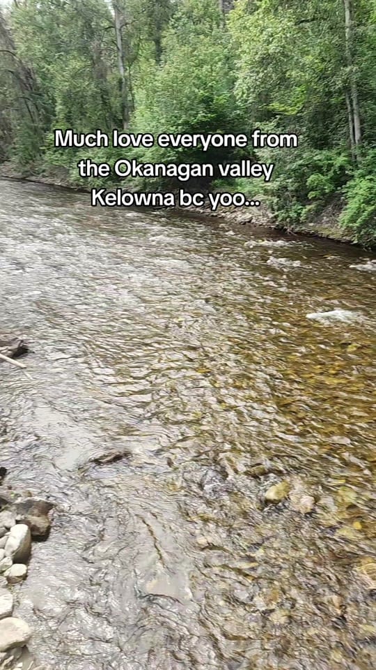 Post 3 by Ace♠️♥️♦️♣️A.K.A☯️MrBANANA🍌💙 on TikTok (video)