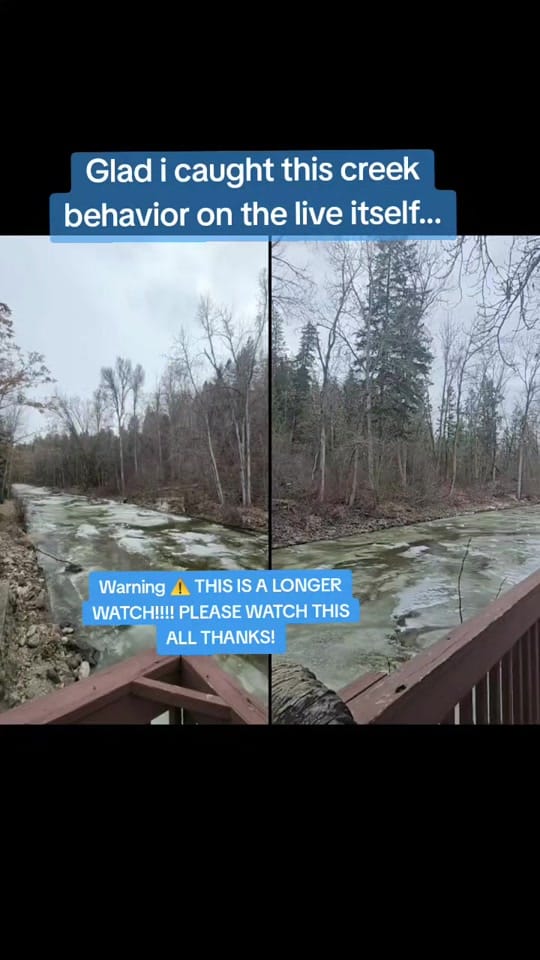 Post 9 by Ace♠️♥️♦️♣️A.K.A☯️MrBANANA🍌💙 on TikTok (video)