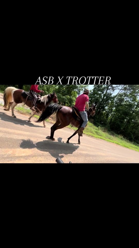 Post 8 by Taye Carson on TikTok (video)