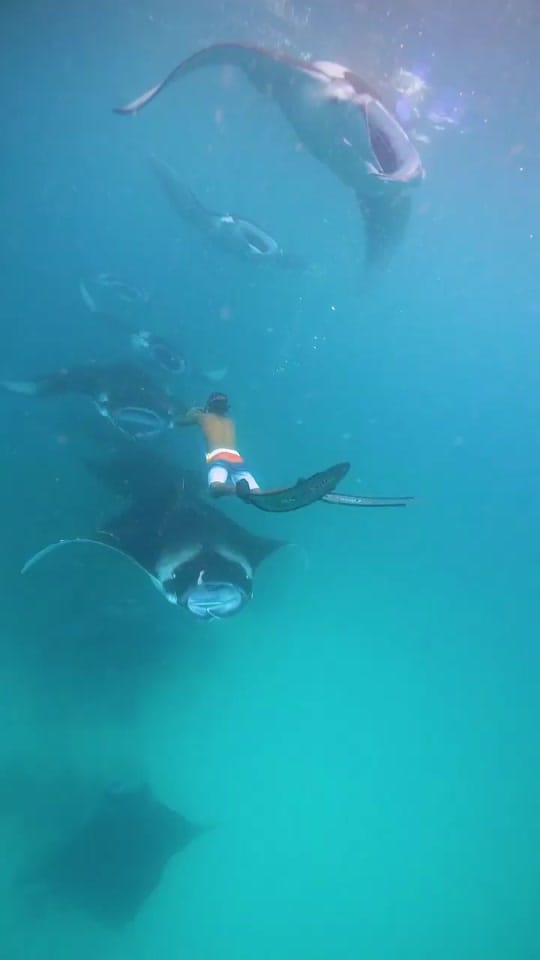 Post 4 by Quinn Johnston on TikTok (video)