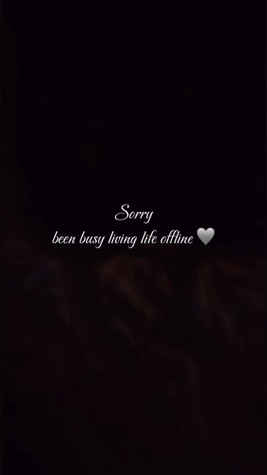 Post 8 by barkkmedia on TikTok (video)
