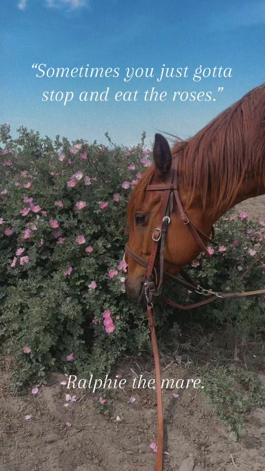 Post 9 by barkkmedia on TikTok (video)
