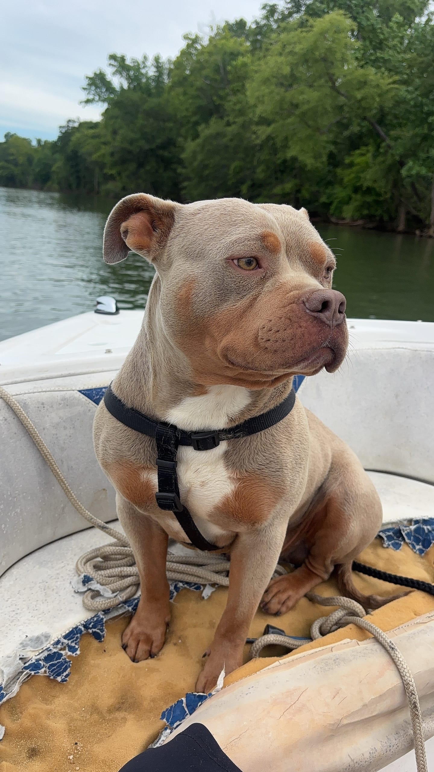 Post 4 by Catfishing704🎣 on TikTok (video)