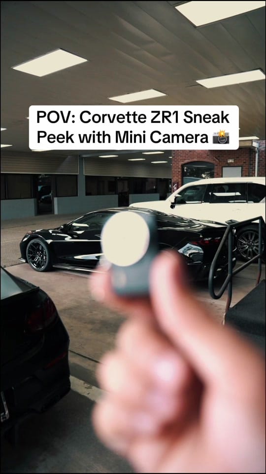 Post 3 by Oneshot on TikTok (video)