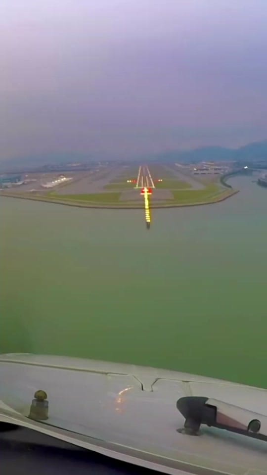 Post 7 by Euro on TikTok (video)