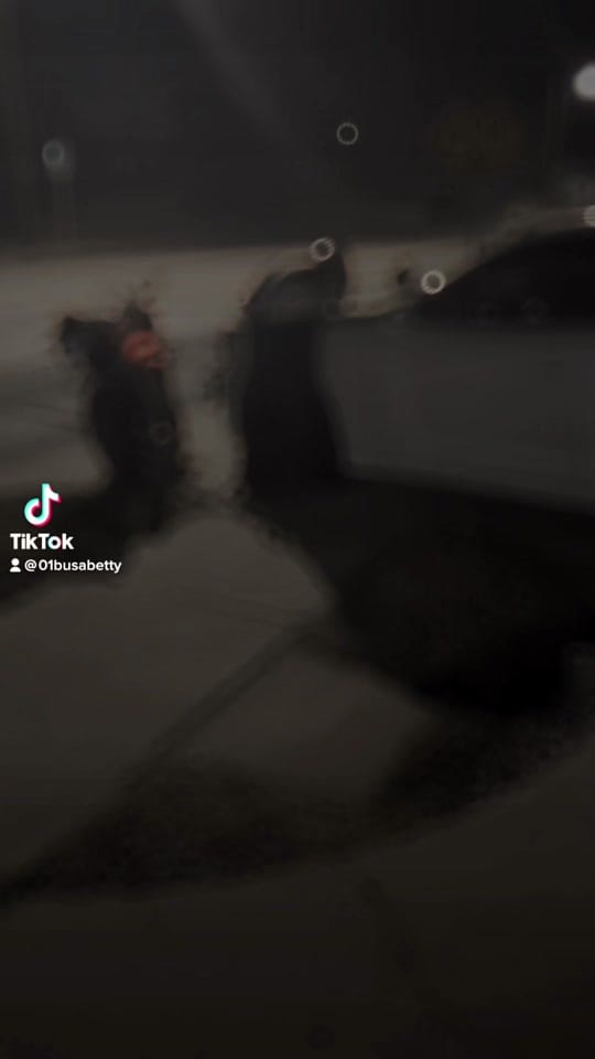 Post 3 by iluv34inahalf on TikTok (video)