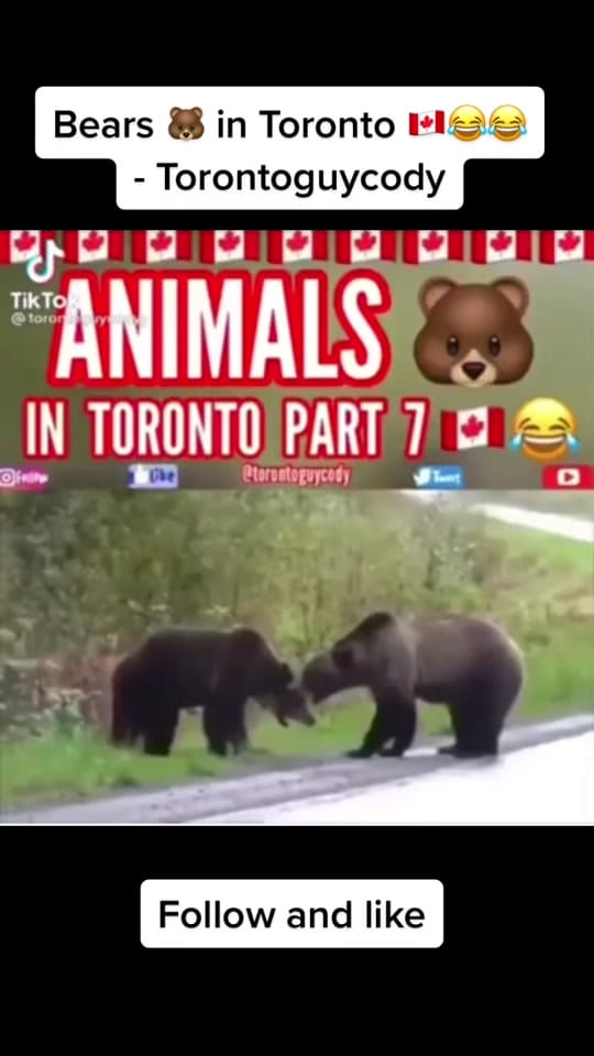 Post 10 by TGC on TikTok (video)