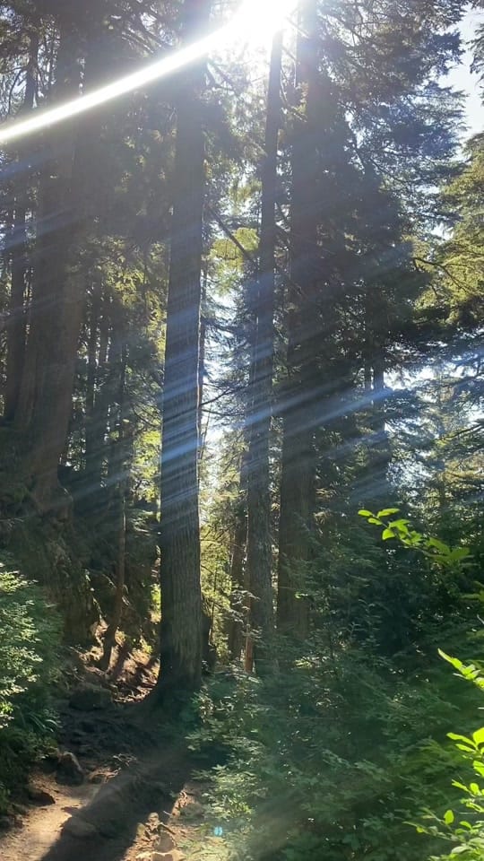 Post 4 by bridget ! on TikTok (video)