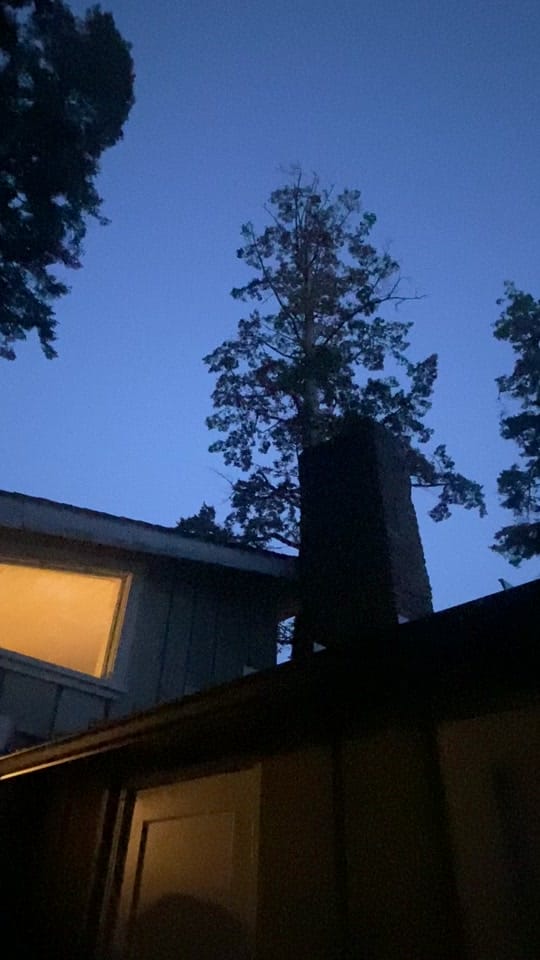 Post 9 by bridget ! on TikTok (video)